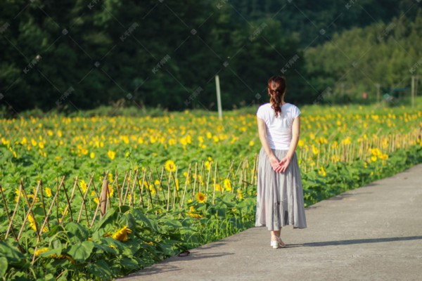 杭州龙凤论坛网友互动交流区 杭州龙凤论坛网友互动交流区